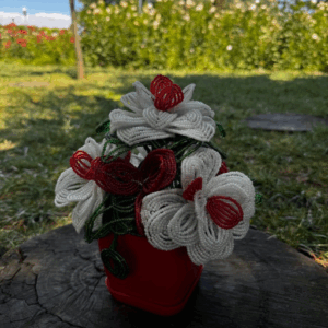 custom-image